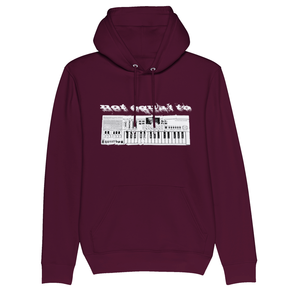 not equal to "THE KEYS" Organic Unisex Pullover Hoodie